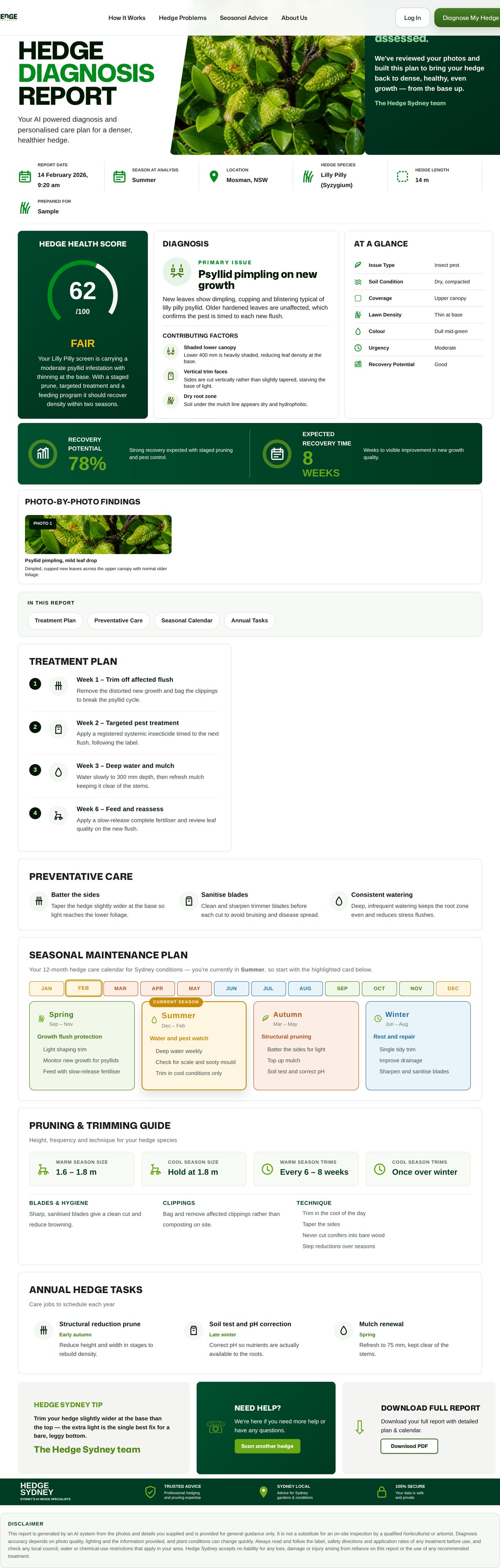 Hedge Sydney Hedge Health Report preview