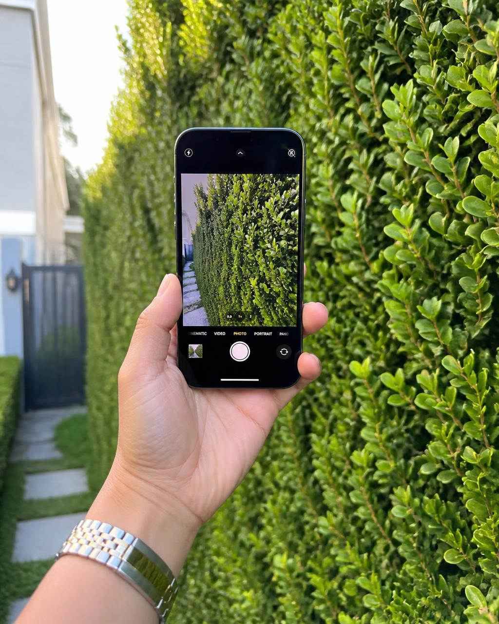 Photographing a hedge with a phone