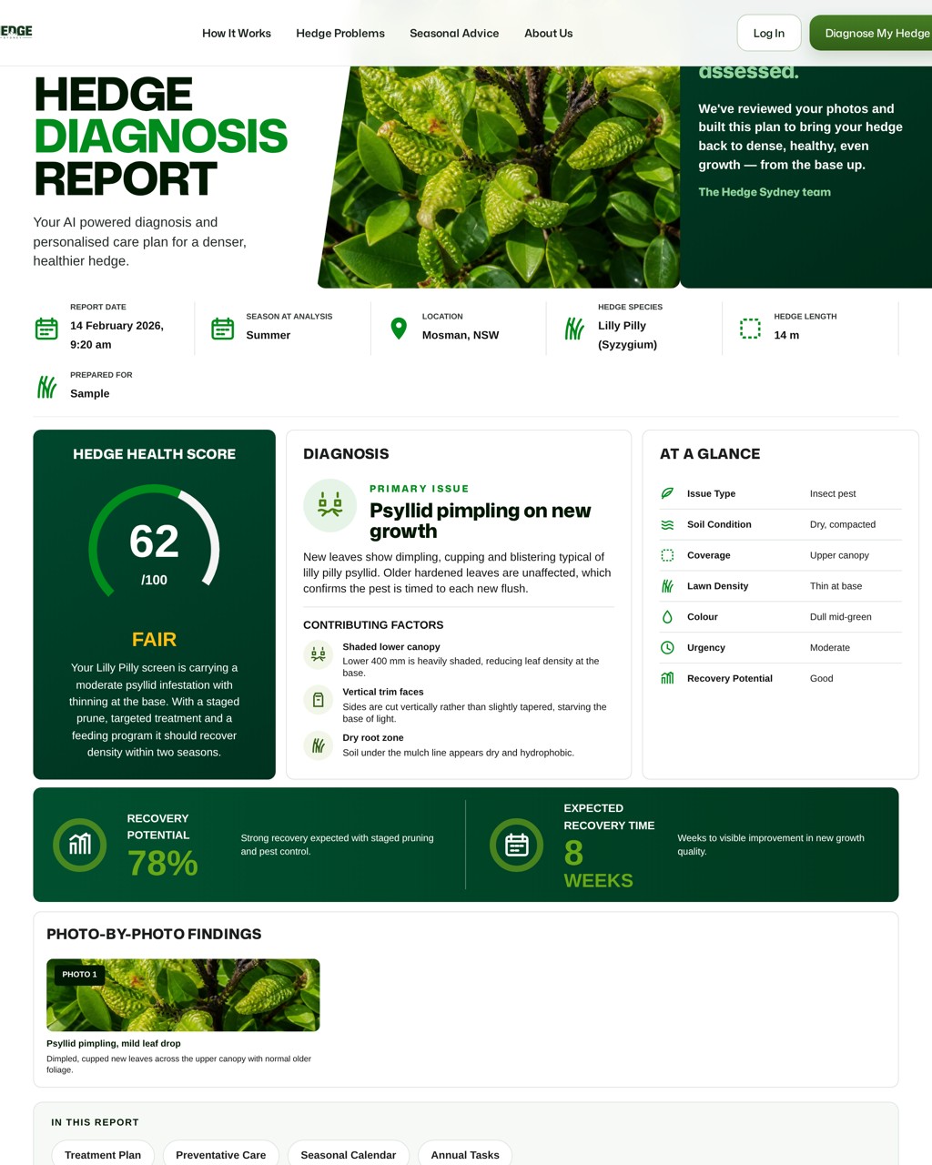 Hedge health report preview